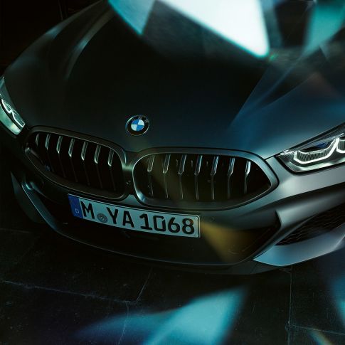 Kidney grille BMW M850i xDrive Gran Coupé Kidney grille BMW M850i xDrive Gran Coupé 2019 Individual Frozen Bluestone metallic
