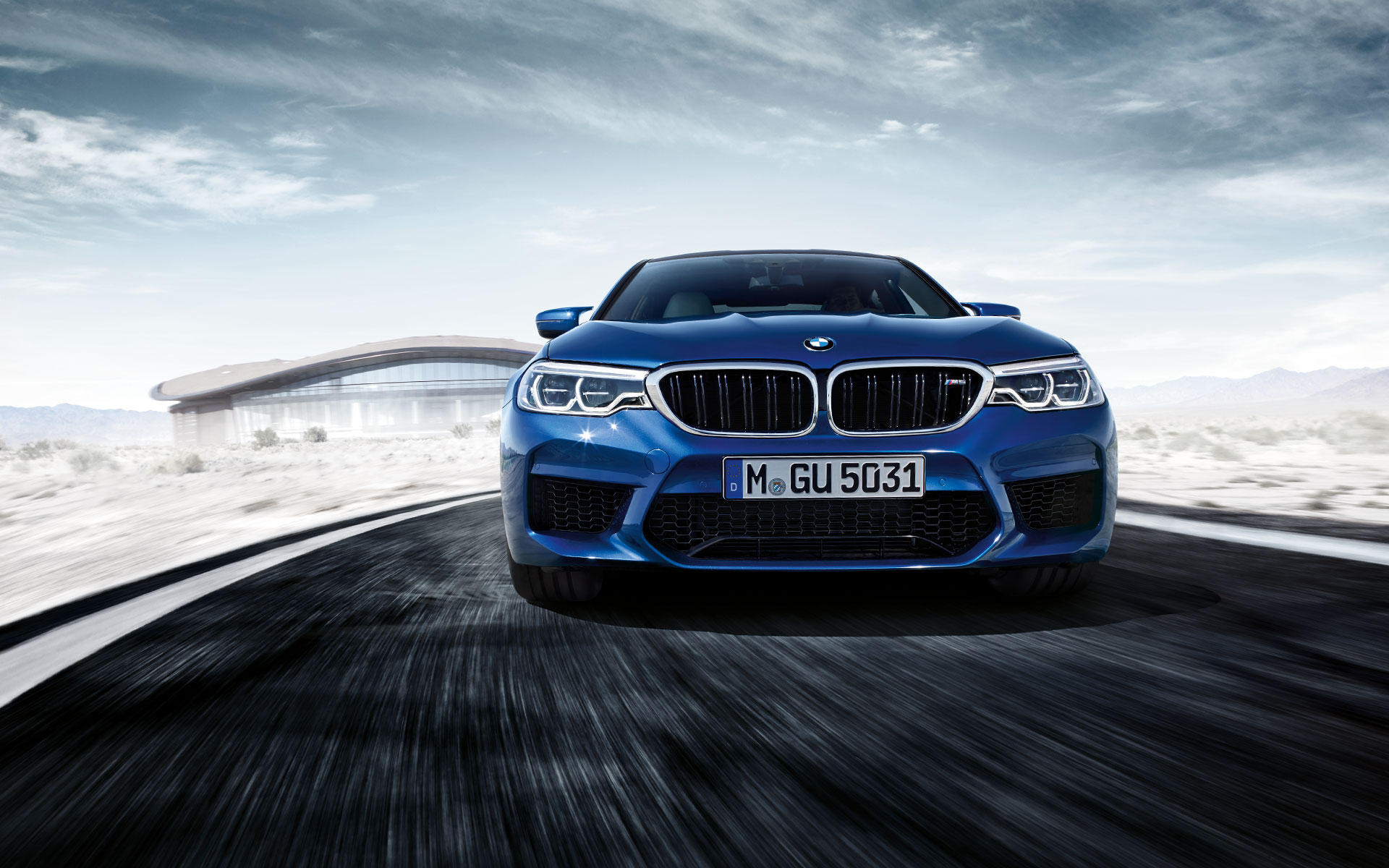 BMW M Series M5 Sedan: vehicle grilles. BMW M Series M5 Sedan: vehicle grilles.