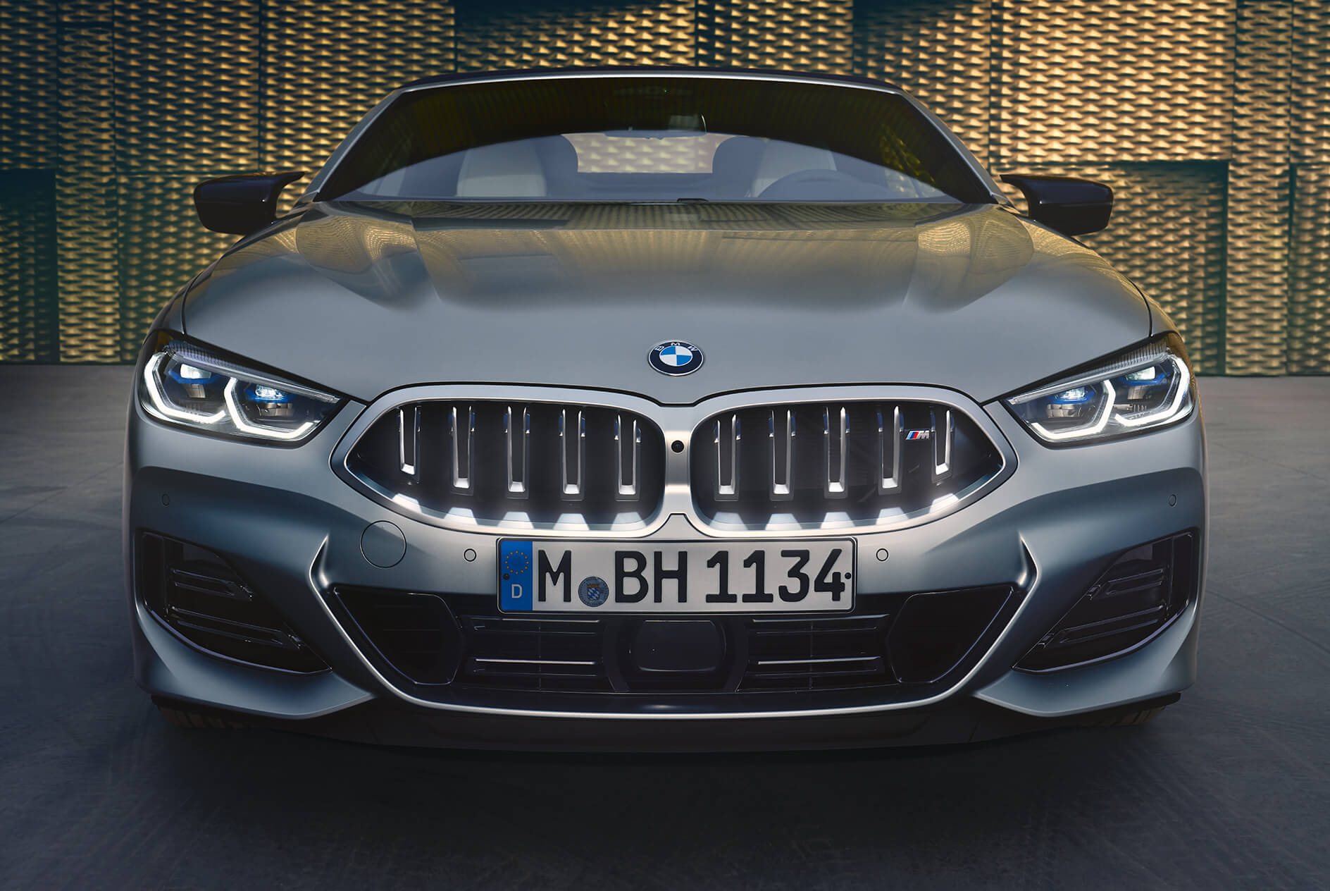 BMW Illuminated Kidney Grille